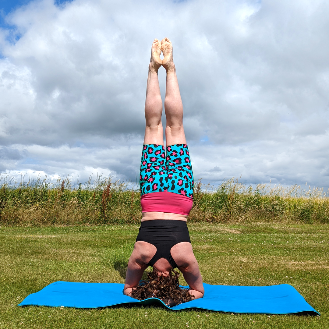 Organic cotton yoga shorts sales