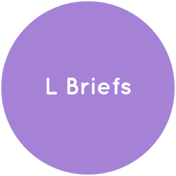 OUTLET - L Briefs